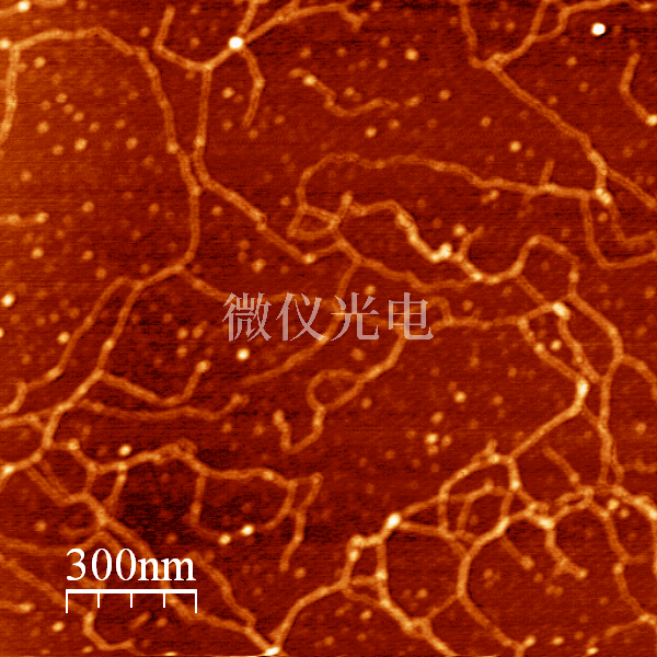 原子力显微镜的关键部位